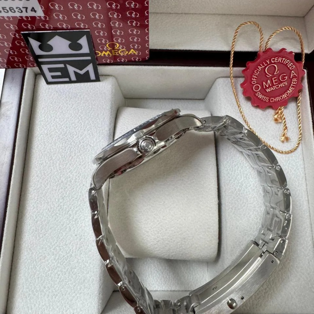 Omega Seamaster Professional – Gray/Blue